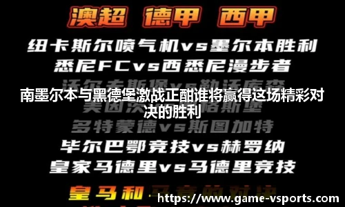 VSport官方入口
